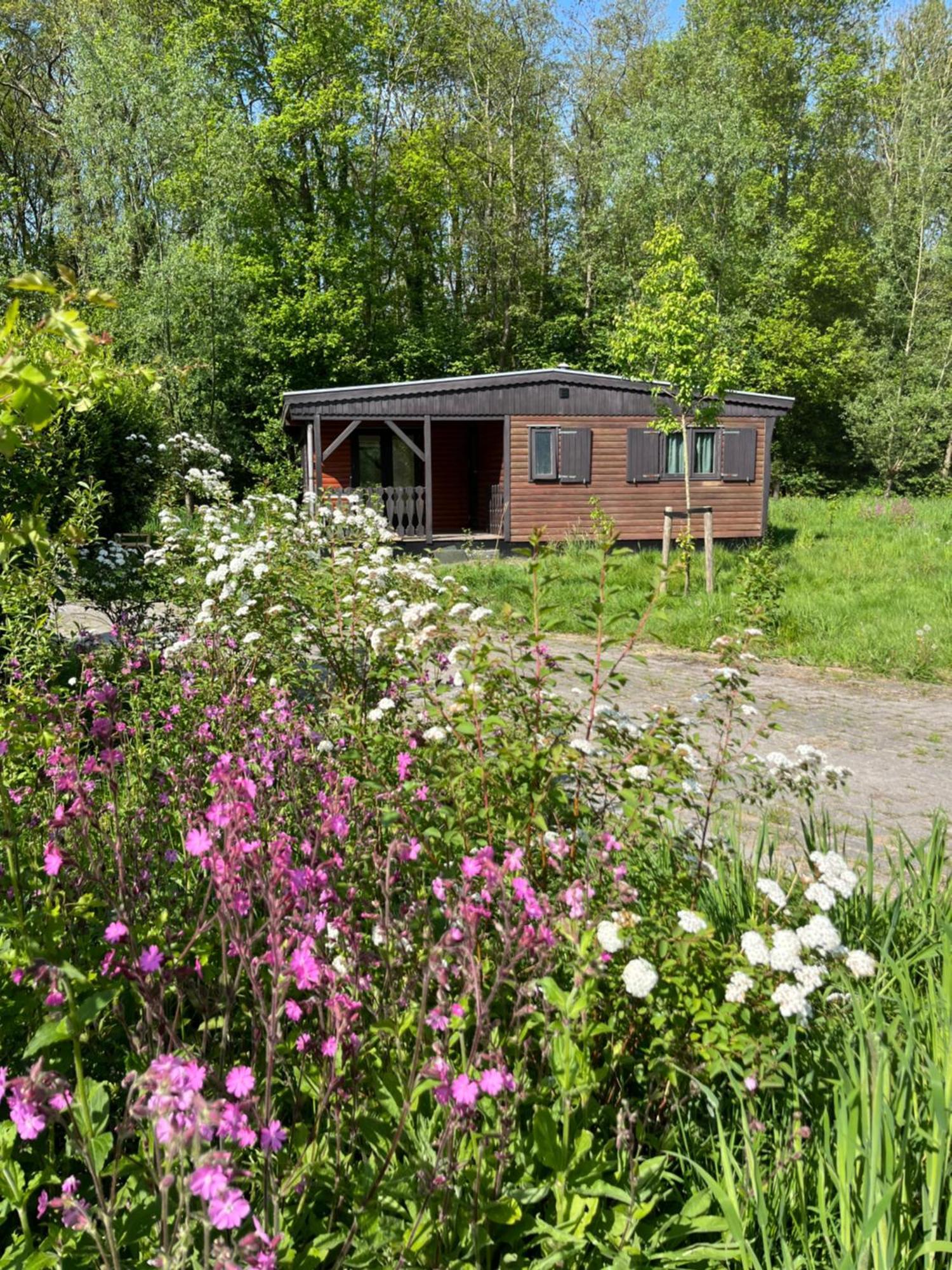 Hoeve Veganza B&B Vlagtwedde Esterno foto
