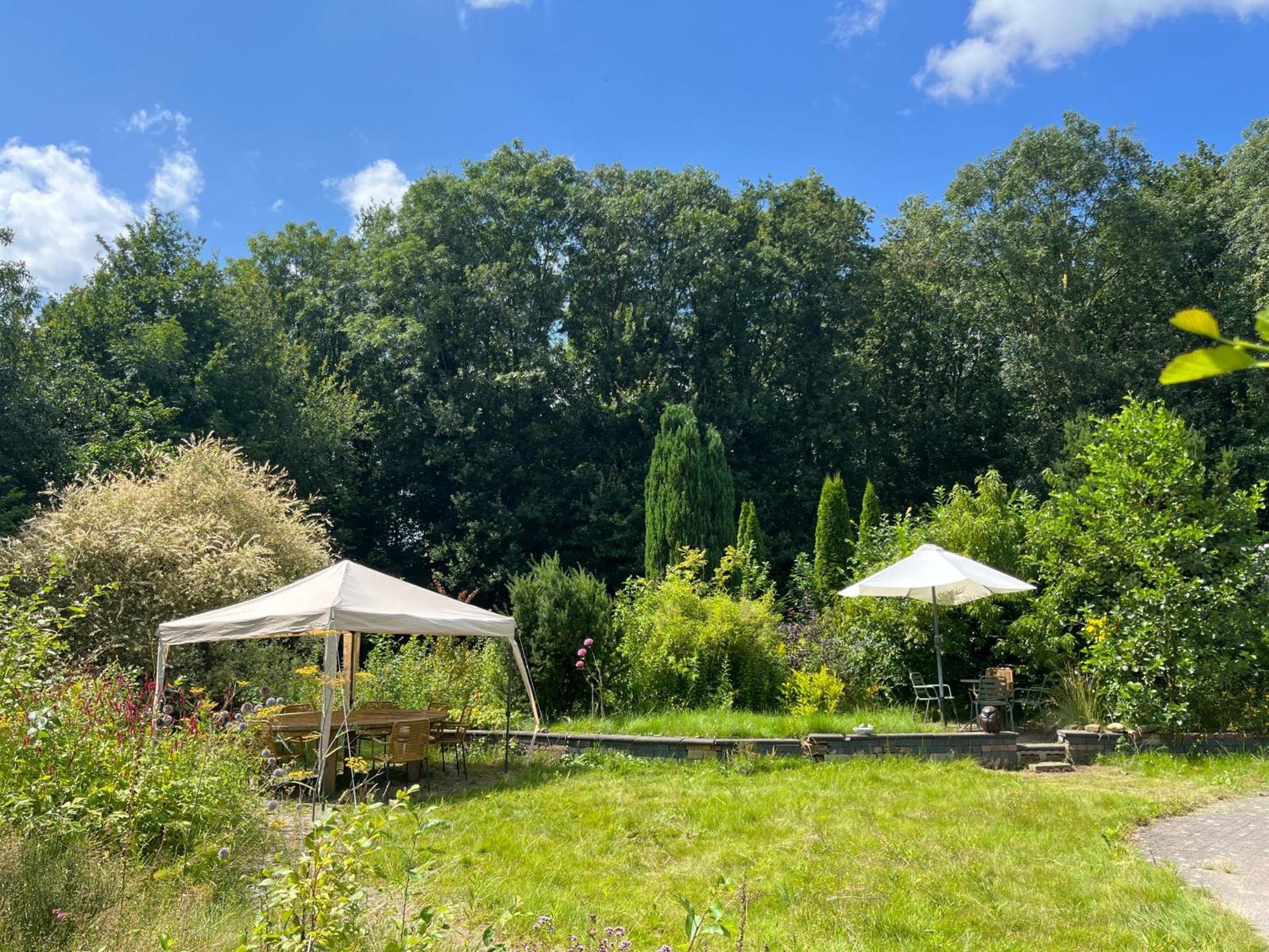 Hoeve Veganza B&B Vlagtwedde Esterno foto