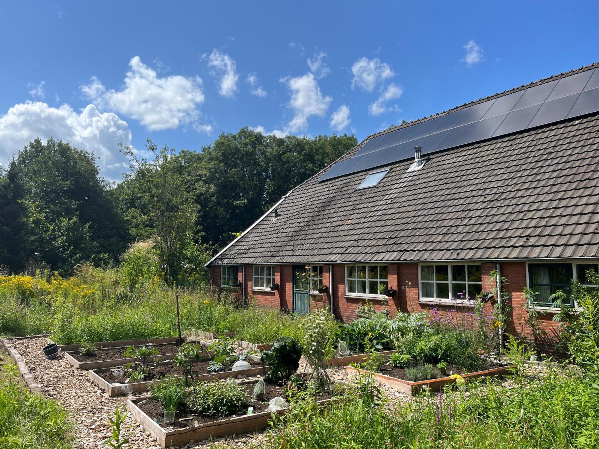Hoeve Veganza B&B Vlagtwedde Esterno foto