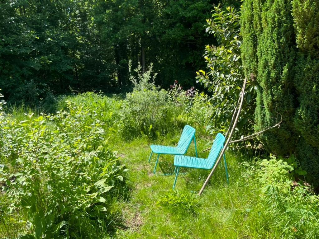 Hoeve Veganza B&B Vlagtwedde Esterno foto