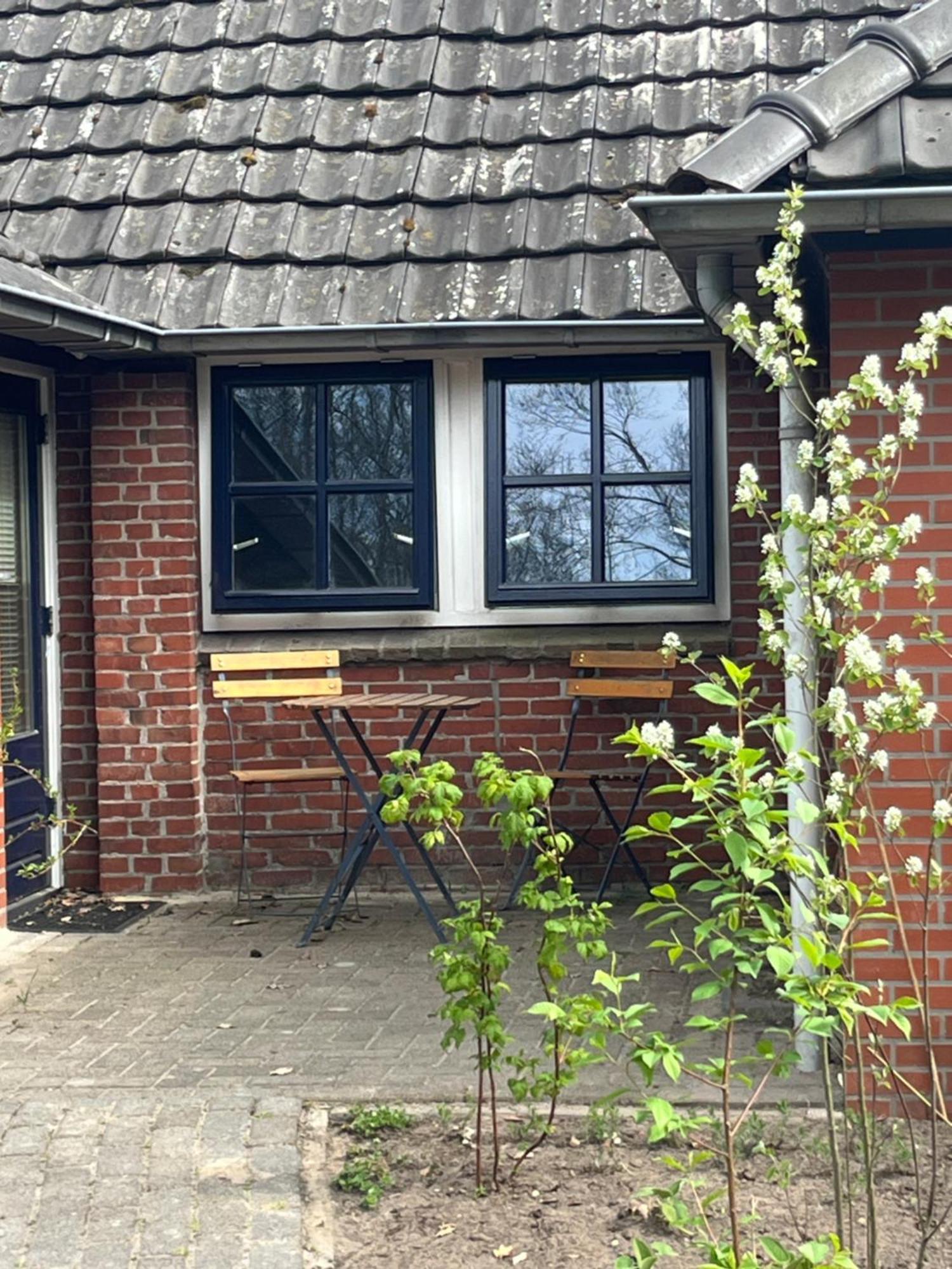 Hoeve Veganza B&B Vlagtwedde Esterno foto