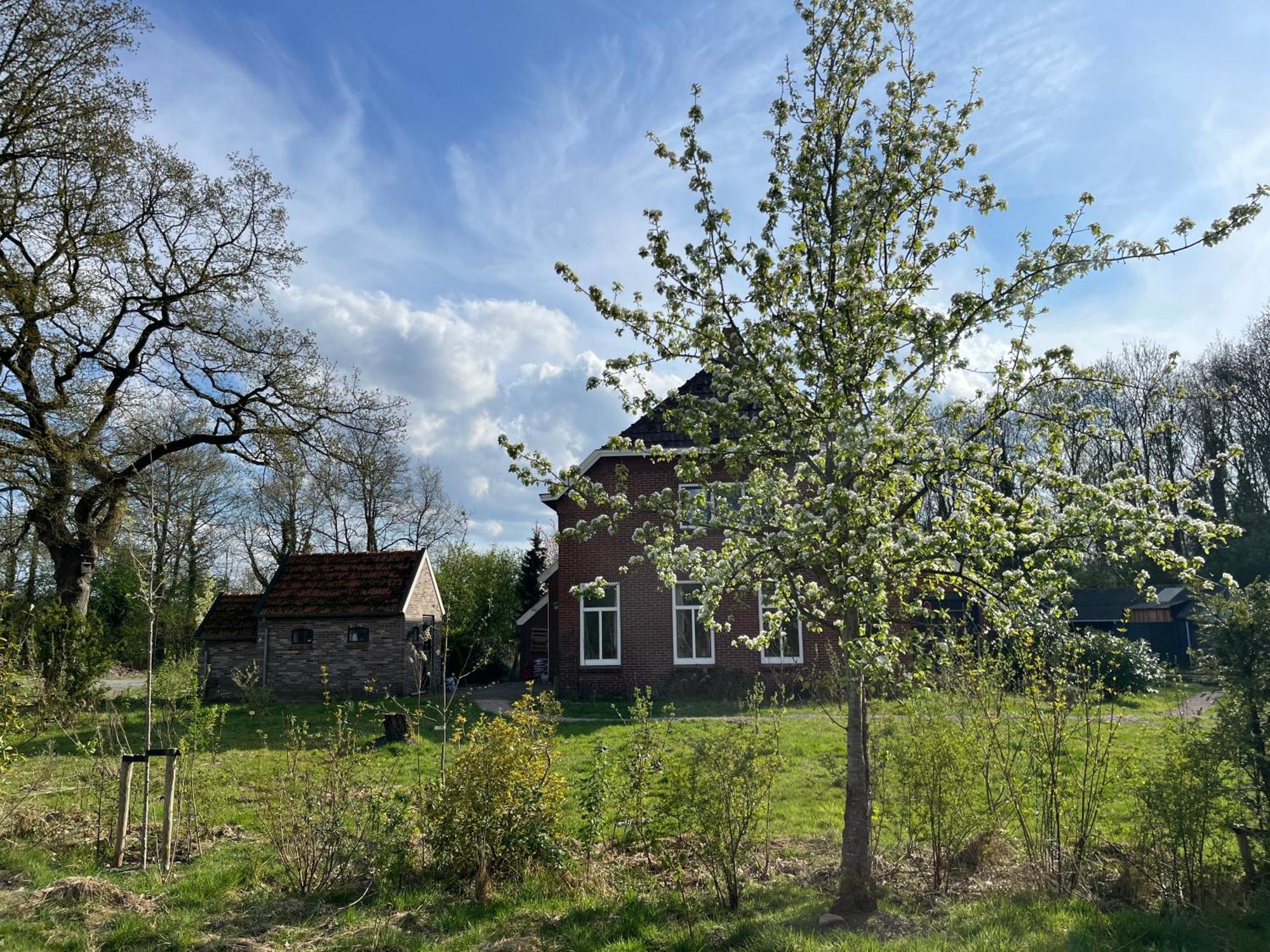 Hoeve Veganza B&B Vlagtwedde Esterno foto