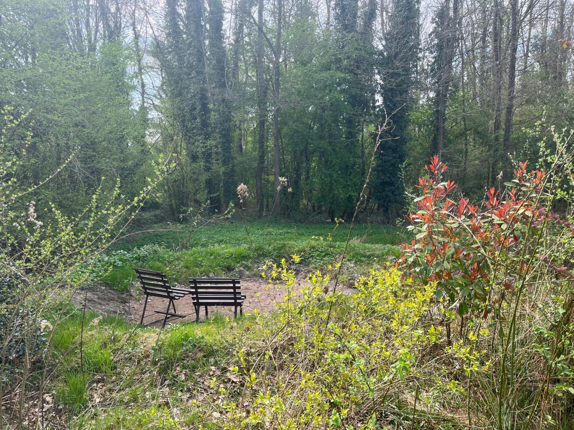 Hoeve Veganza B&B Vlagtwedde Esterno foto