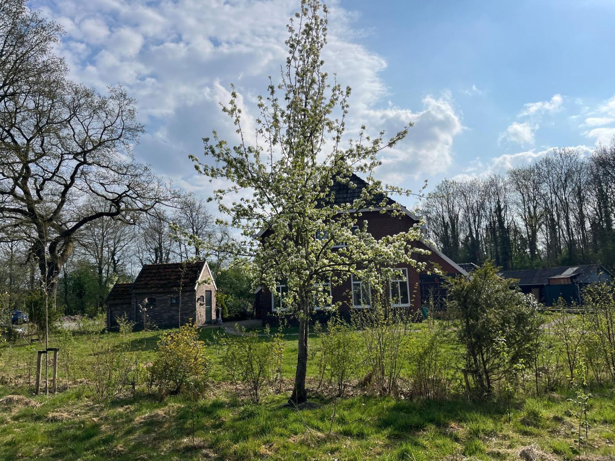 Hoeve Veganza B&B Vlagtwedde Esterno foto